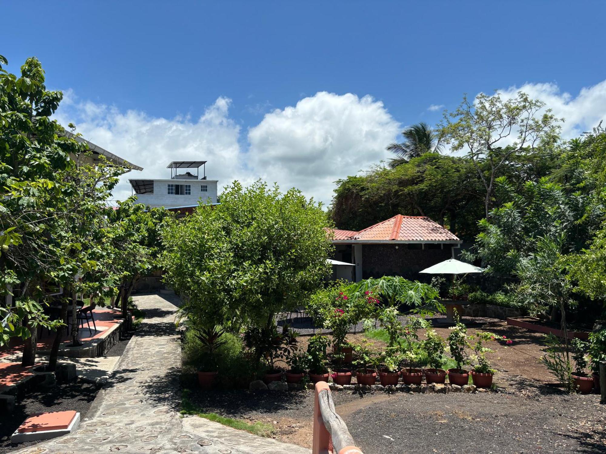 Lava House Hostal Puerto Ayora  Exteriör bild